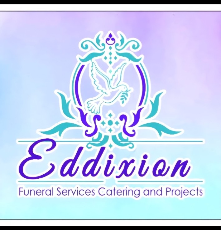 Eddixion logo